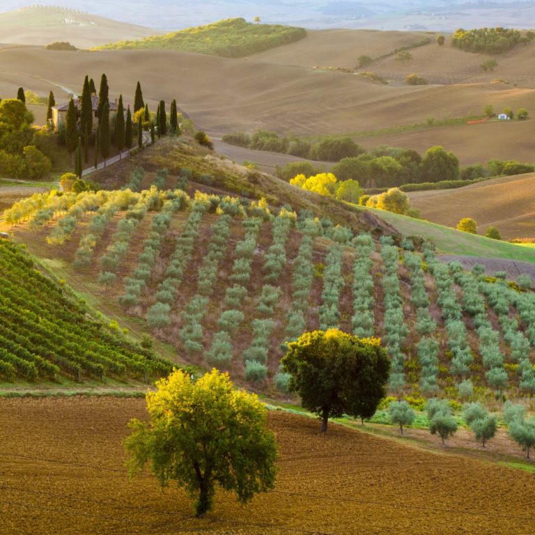 Ecovillaggi: un modello di sostenibilità